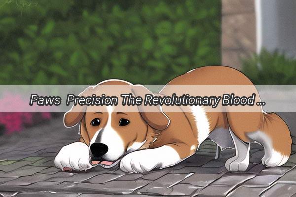 Paws  Precision The Revolutionary Blood Glucose Test Strips for Canine Diabetics